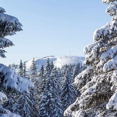 Waldblick Titisee Ngoại thất bức ảnh