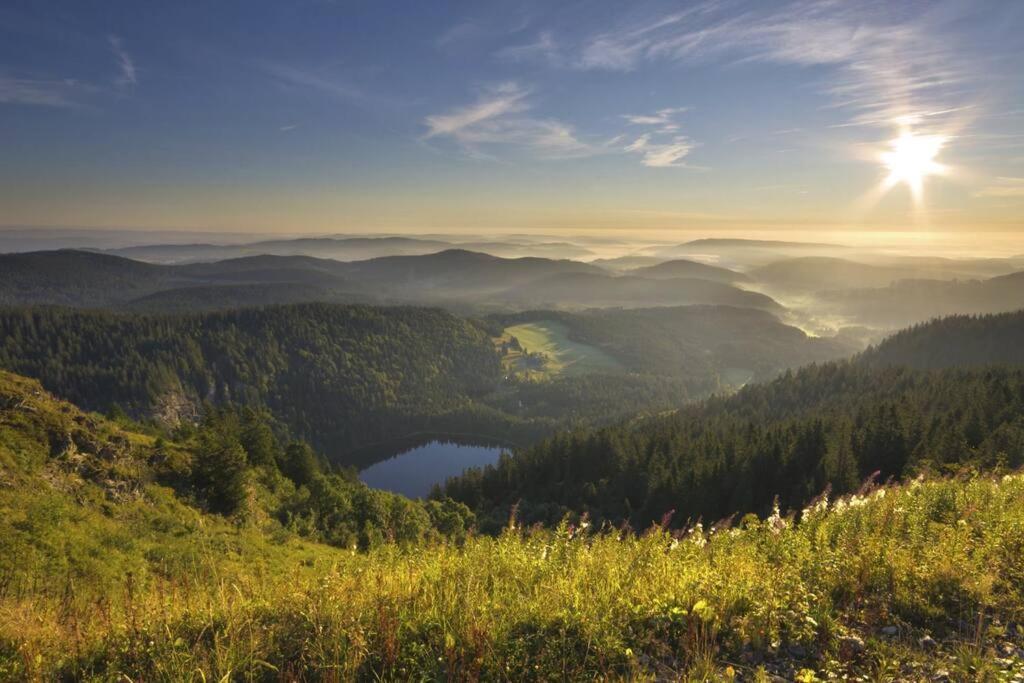 Waldblick Titisee Ngoại thất bức ảnh