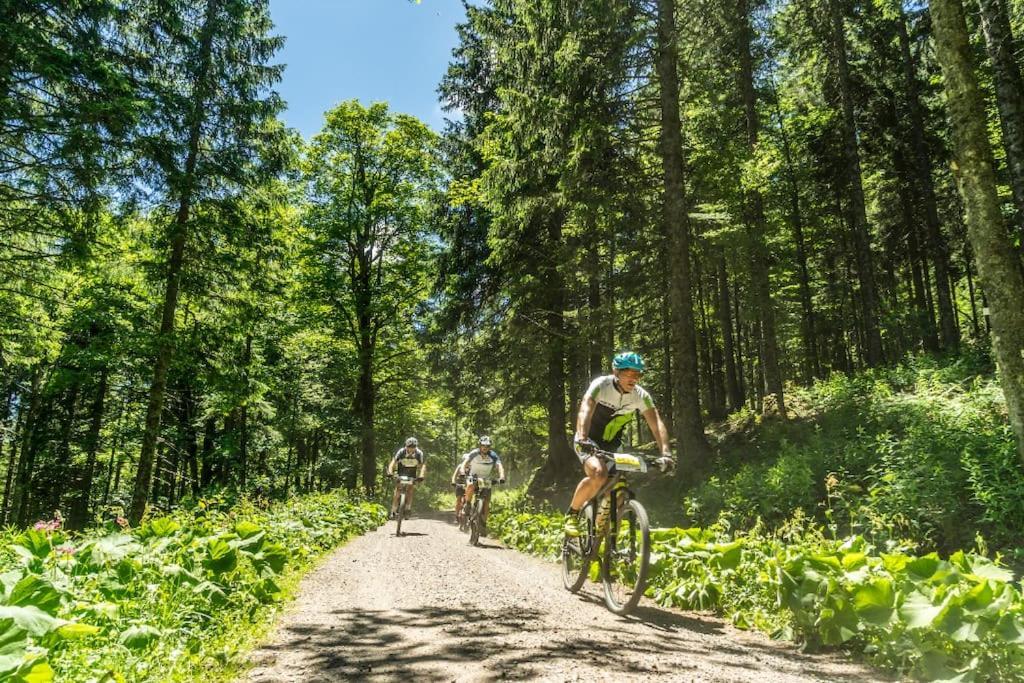 Waldblick Titisee Ngoại thất bức ảnh