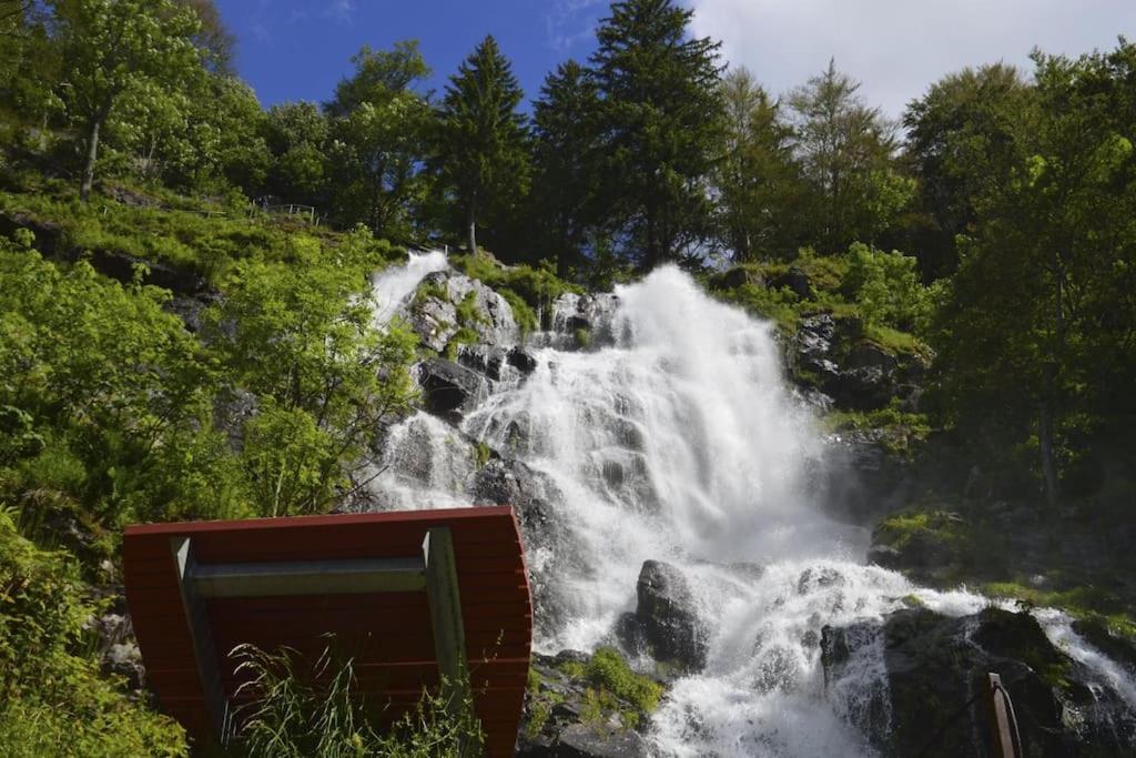 Waldblick Titisee Ngoại thất bức ảnh